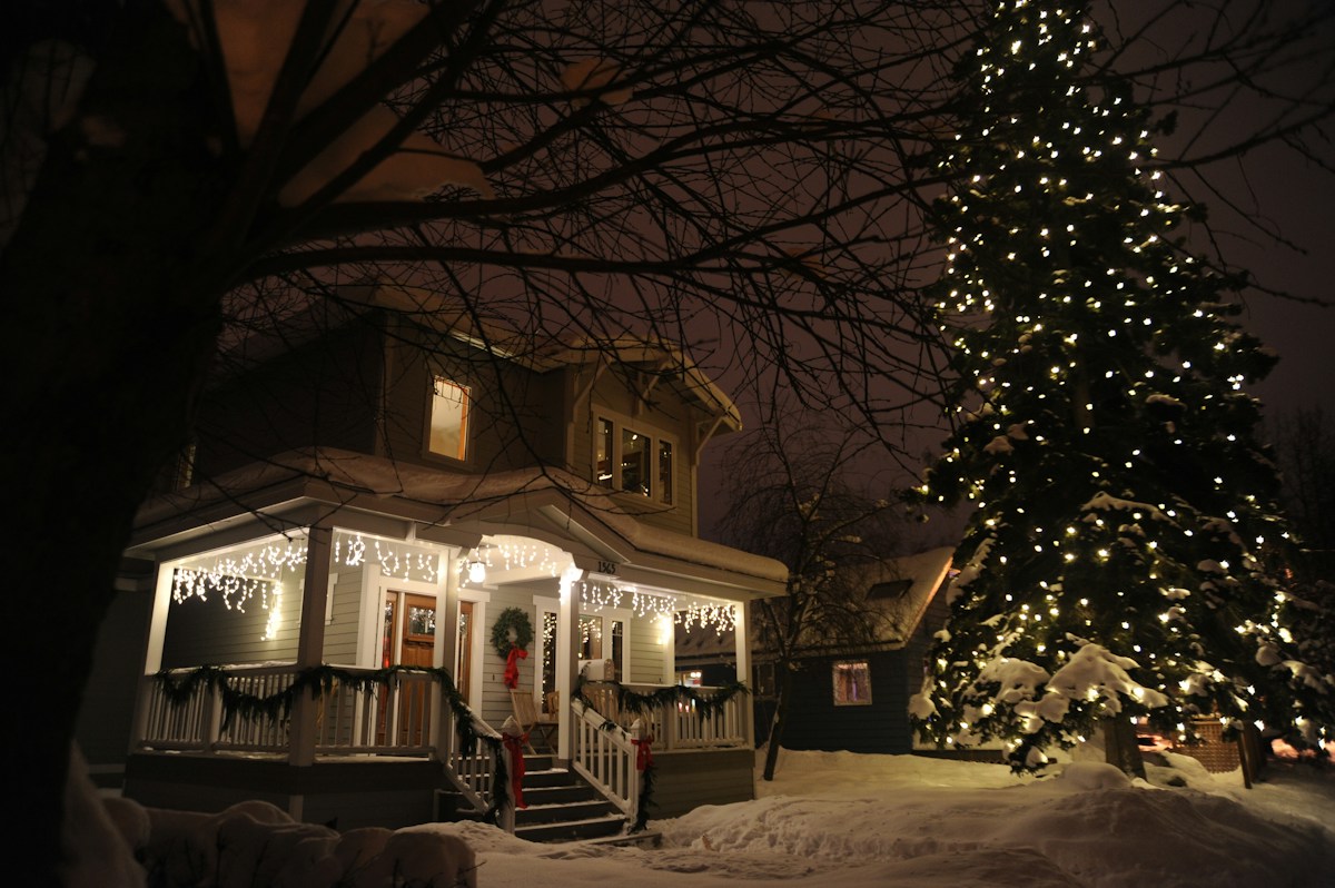 A home and garden tree decorated with white Christmas lights